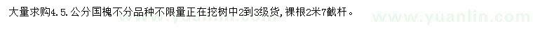求購4.5公分國槐