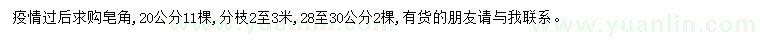 求購20-28-30公分皂角