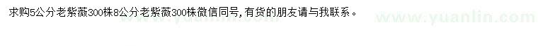 求購5-8公分紫薇