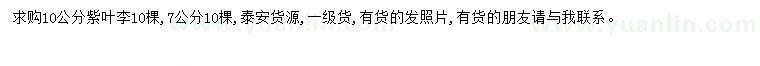 求購10公分紫葉李