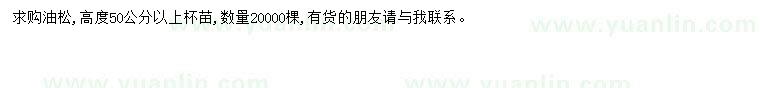 求購高50公分以上油松