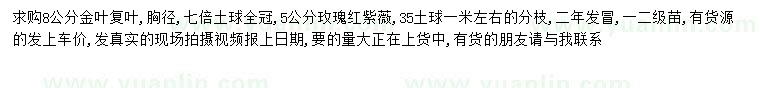 求購8公分復(fù)葉槭