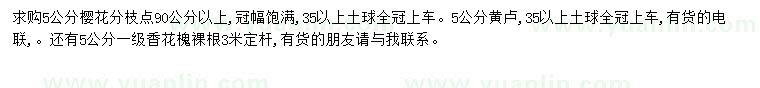 求購5公分櫻花、黃盧