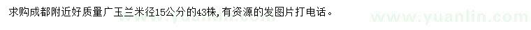 求購米徑15公分廣玉蘭