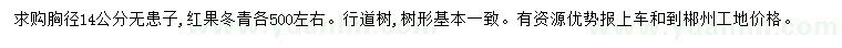 求購胸徑14公分無患子、紅果冬青