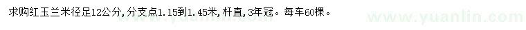 求購米徑12公分紅玉蘭