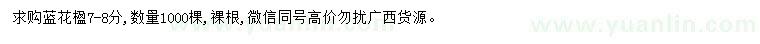 求購藍(lán)花楹7-8公分