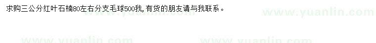 求購3公分紅葉石楠