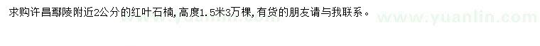 求購2公分紅葉石楠