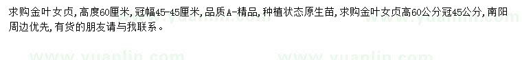 求購60公分金葉女貞