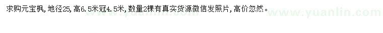 求購地徑25公分元寶楓