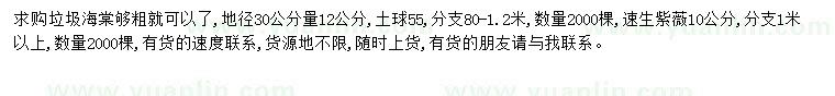 求購12公分海棠