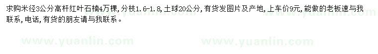 求購米徑3公分紅葉石楠