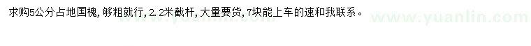 求購5公分國槐