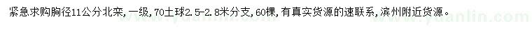求購胸徑11公分北欒