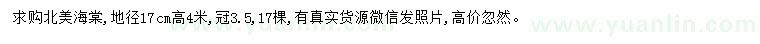 求購北美海棠地徑17公分