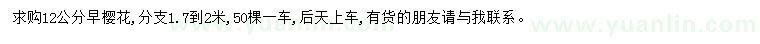 求購(gòu)12公分早櫻