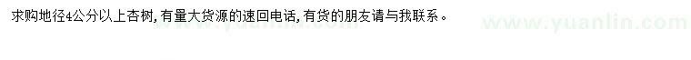 求購地徑4公分以上杏樹