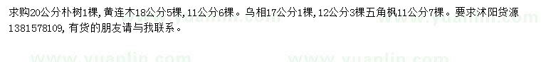 求購(gòu)20公分樸樹(shù)