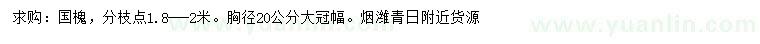 求購胸徑20公分國槐