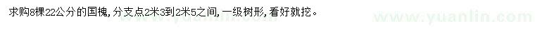 求購22公分國槐
