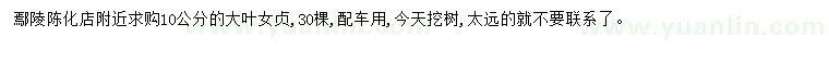 求購(gòu)10公分大葉女貞