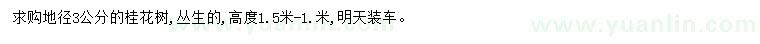 求購地徑3公分桂花