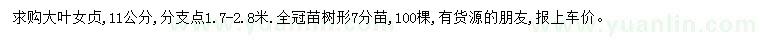 求購11公分大葉女貞