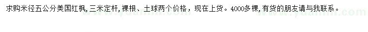 求購(gòu)米徑5公分美國(guó)紅楓