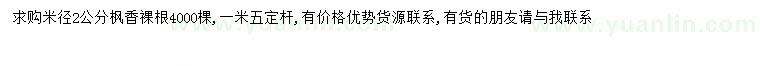 求購米徑2公分楓香