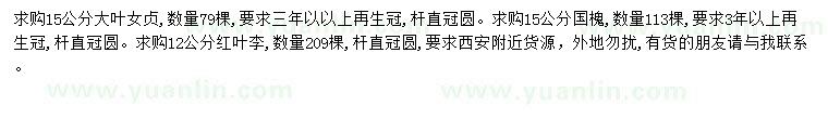 求購大葉女貞、國槐、紅葉李