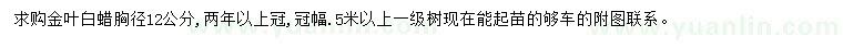 求購胸徑12公分金葉白蠟