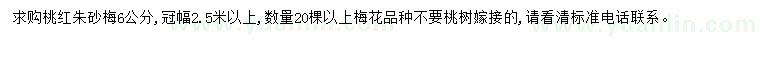 求購6公分桃紅朱砂梅