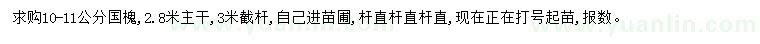 求購(gòu)10-11公分國(guó)槐