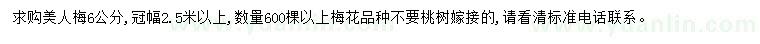 求購6公分美人梅