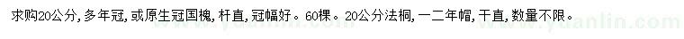 求購(gòu)20公分國(guó)槐、法桐