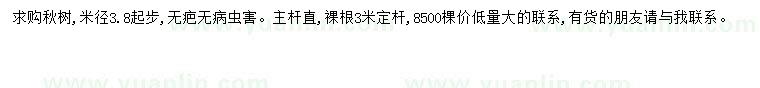 求購米徑3.8公分秋樹
