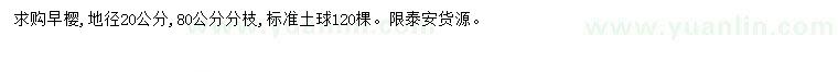 求購地徑20公分早櫻