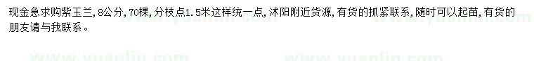 求購8公分紫玉蘭