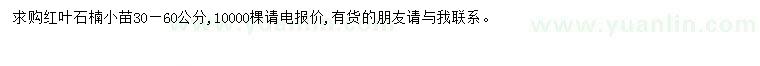 求購30-60公分紅葉石楠