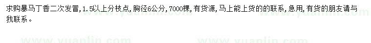 求購暴馬丁香