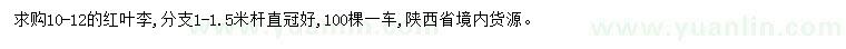 求購10-12公分紅葉李