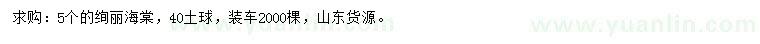 求購5公分絢麗海棠