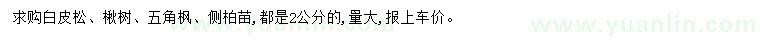 求購(gòu)白皮松、楸樹(shù)、五角楓等
