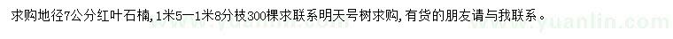 求購地徑7公分紅葉石楠