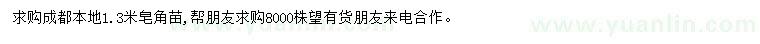 求購1.3米皂角苗