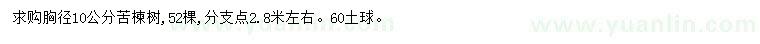 求購胸徑10公分苦楝