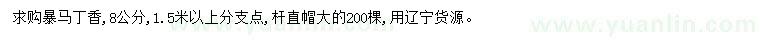求購(gòu)8公分暴馬丁香