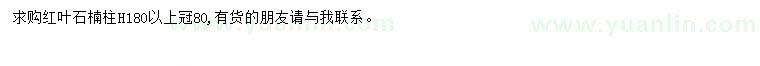 求購180公分以上冠80紅葉石楠
