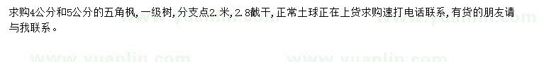 求購4-5公分五角楓